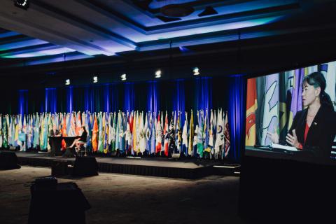 Convention stage with flag poles