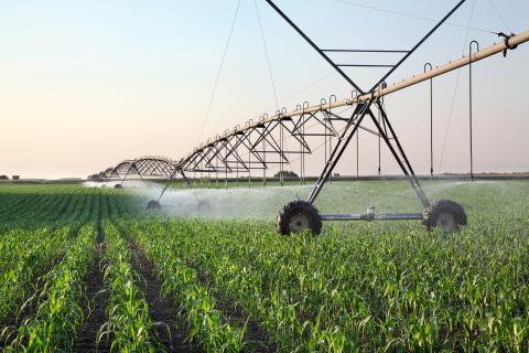 Irrigation system in field.