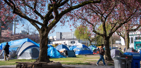 Homeless camp with trees