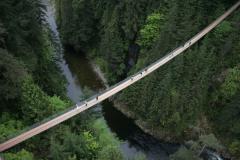 Aerial View of Suspension Bridge